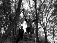 2014-05-25 11.14.36  ø;    K       1	  d  H    4xV4xV4xV4       ^ q0 è¶     ÿÿ%_                             ýý                                                                                                                                                                                                                  C A L ZKFI07    Cur.ZKFJ03CML 018001001509FD120109010B010D010D01240967ï )Yë&#38;      T U N A   Ð1	 ÿÿ     &#34; ØUÿÿ  ÕÿÿÔK (ßÿÿ£  .Uÿÿ/   FLFL SVN# g	                                                                                                                   ®    Ð1	  ÿÿ 	 	Z	L                         ÿ         þ                                      Ö                	 ò     8                                                                                                                                                                                                                                                               JKJK\    ?t    Â    B
     1	     ÿ         v    À      &#34; ØUÿÿ  ÕÿÿÔK (ßÿÿ£  .Uÿÿ/ JKJK&#34; &#34; &#34;  &#34; &#34;   &#34;  	  `   `   `   p   p       &#34; &#34; &#34; &#34;   &#34;  &#34; `   `   `   `   p   p      &#34; &#34; &#34;   &#34;  &#34; `   p   `   `   p   p       &#34; &#34;    &#34; 2w `   `   `   `   p   p            &#34; 1&#34; `   `   `   p   p   `    	          `   `   `   `   `   `   	  	    0    1&#34; Q3 `   `   `   `   `   p    	    	  	 	 	 `   `   `   `   `   `   p    	  	    	   `   `   `   `   `   `   `   p    	  	     	  	 	 	 `   `   `   `   `   `           	 	 `   `   `   `   `   `   	  	  	   	 	  2w 	 	 `   `   `   `   `   `   	 	  	    	 	  A&#34; `   `   R   `   `   `   p   	        	 	 `   `   b   `   `   p   `     	 	      `   `   `   `   `   p   p    	         `   	 `   `   `   p   p   p   JKJKè üÿ  ³ &#39;+ üÿ  éo                                                 g   å¨ Ãì    t ýí                 û Ôÿ    Öÿ  ~  Öÿ  ~  Öÿ  ~             . î    $                                                                                                                                                                                                                                                                 ýAFAF¬ Ãè¬ æñ í ìy P4y ^l^ 